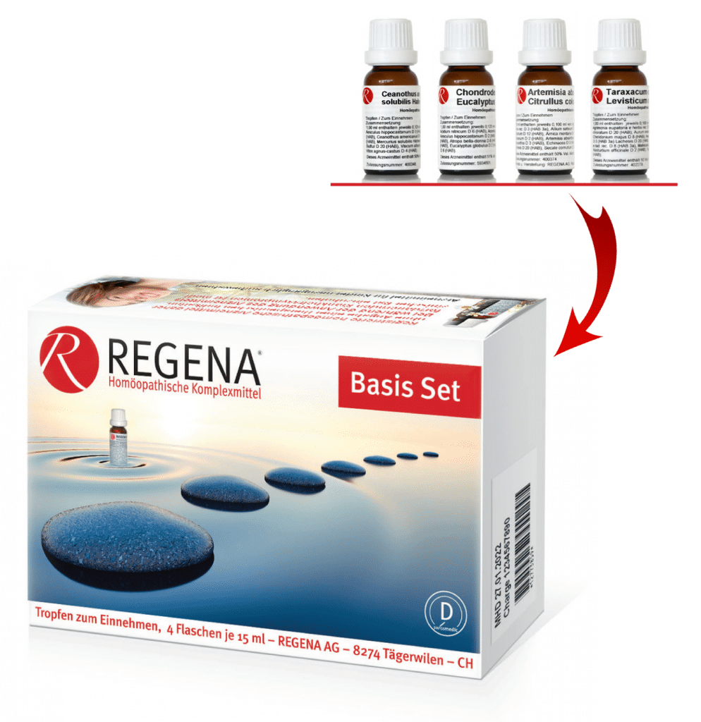 Basis Set REGENA - CH